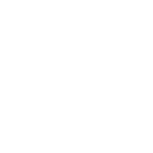 Banjo 