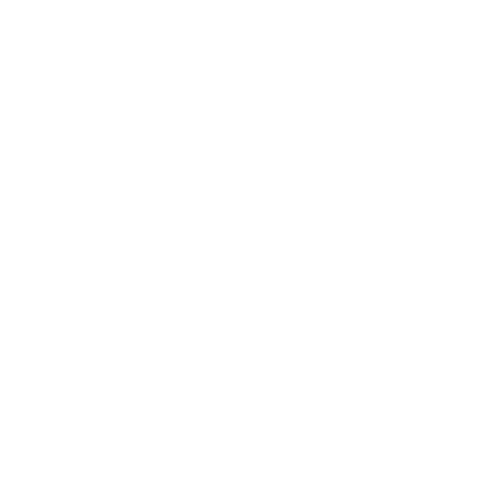 Bass 