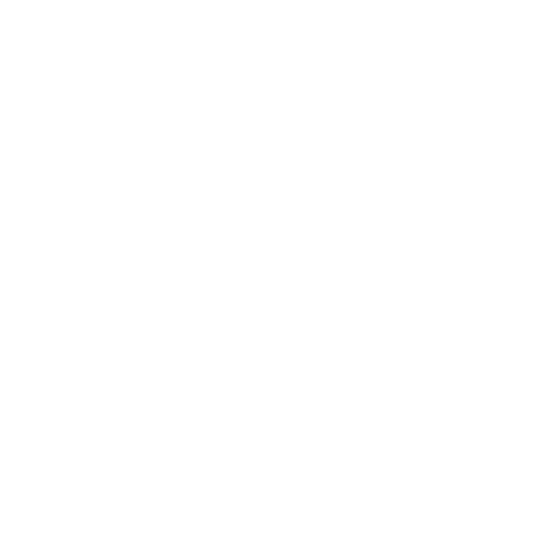 Klassikgitarre 