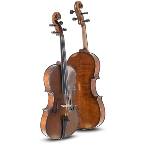 VIOLA 