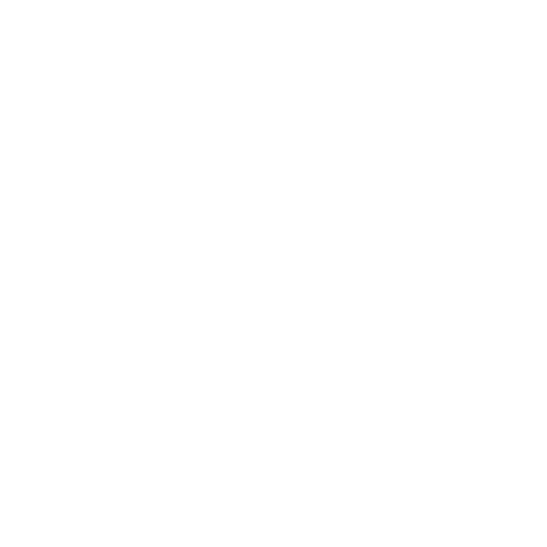 Altsaxophon 