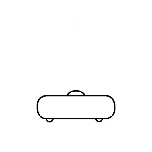 Pouzdra pro housle 