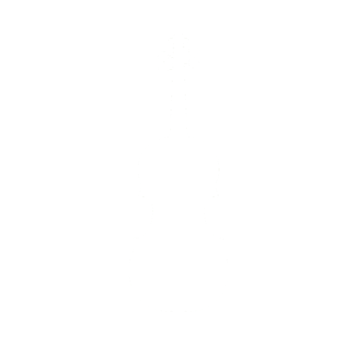 Housle 