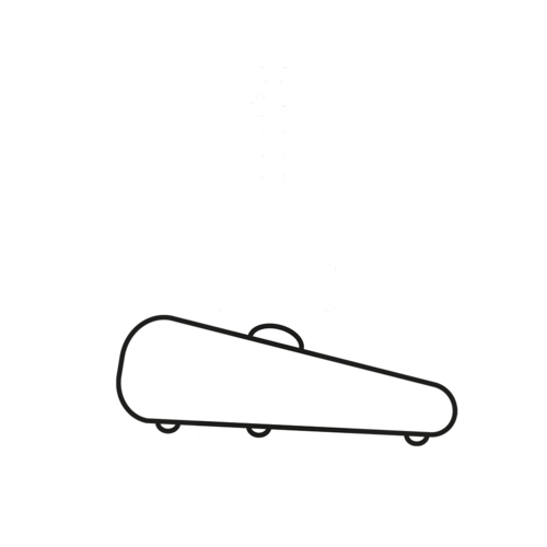Hegedűtok 