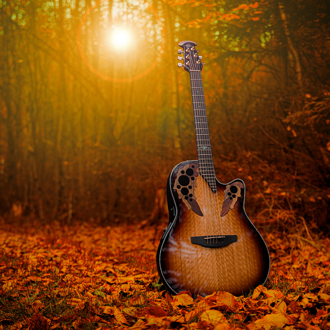 LIMITED EDITION 2025: FLAMED EUCALYPTUS